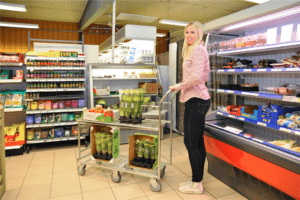 Komplekteerimiskäru 2 tasapinnaga raskemale kaubale 1320 x 430 x 1120mm - Image 4