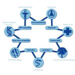 Laboritool must, kõrgus 400-510 mm, GL85B9103-S - Image 8